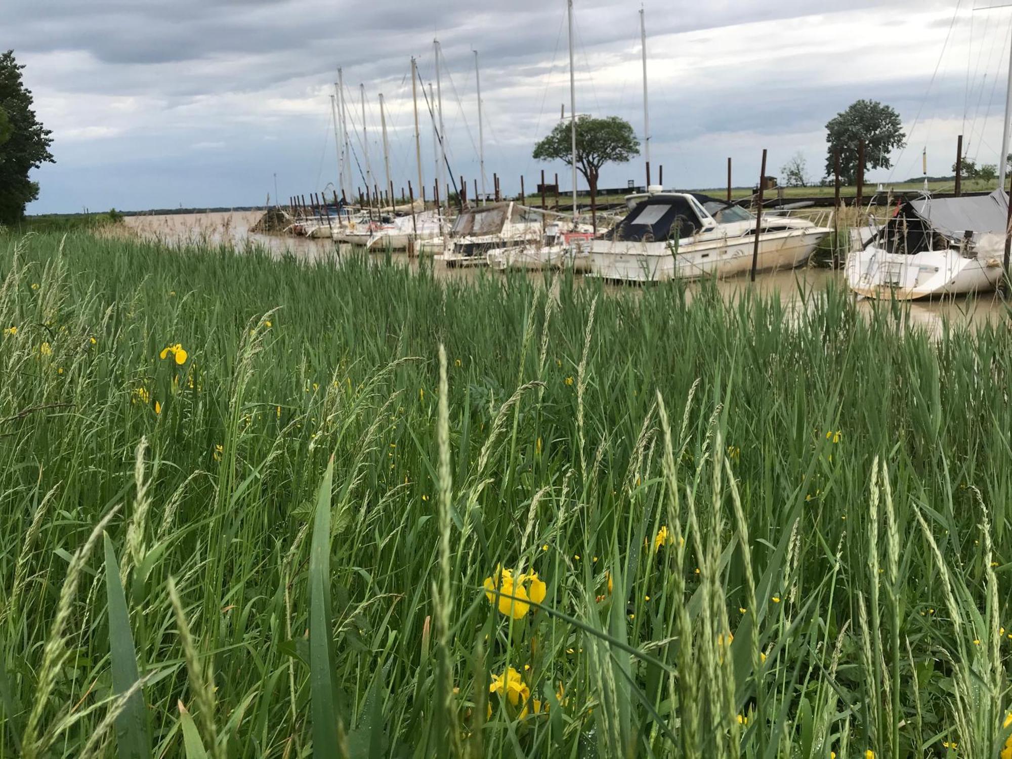 Appartement Avec Vue Panoramique Sur L'Estuaire De La Gironde Plassac  Экстерьер фото